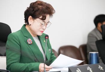 제11차 예산결산특위