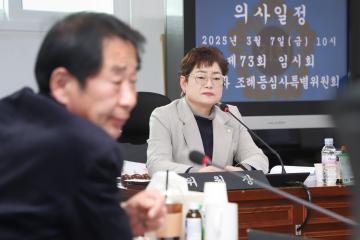 제2차 조례등심사특별위원회의