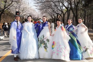 흥천 남한강 벚꽃축제 part1