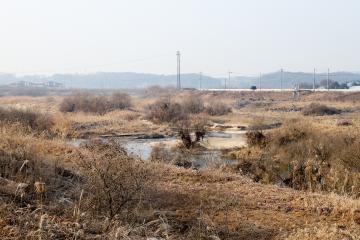 청미천 하천재해 예방사업 설명회