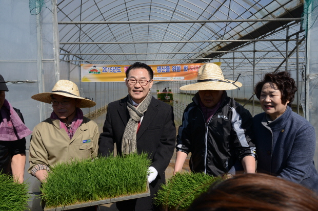 2015 첫 모내기 행사